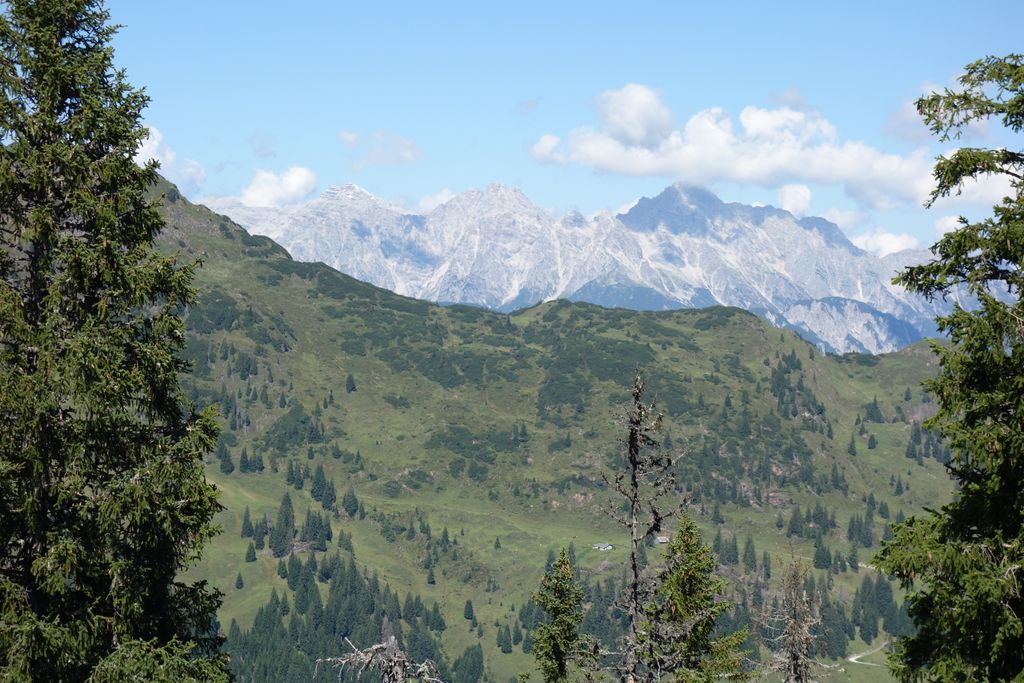 Photo №7 of Kohlmaiskopf