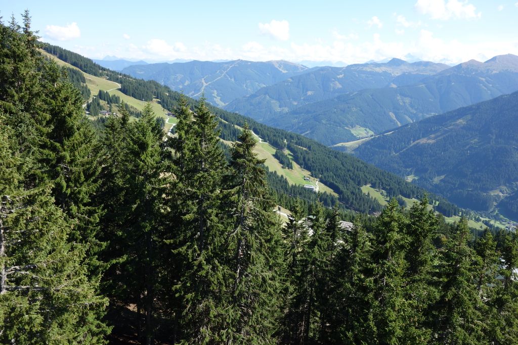 Photo №8 of Kohlmaiskopf
