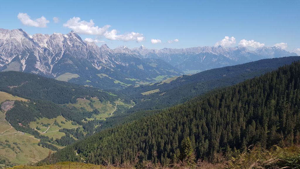 Photo №3 of Kohlmaiskopf