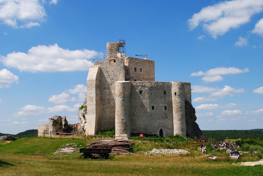 Photo №2 of Grzyb