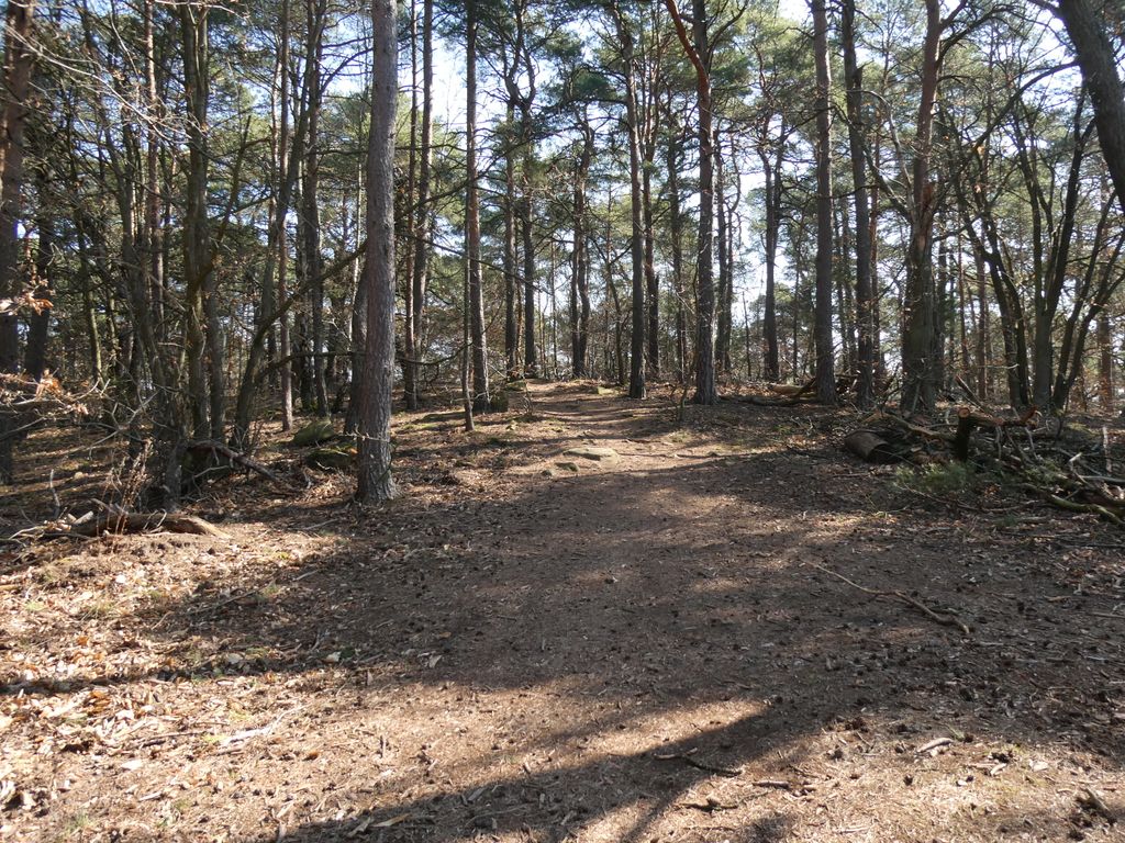 Photo №2 of Köpfel
