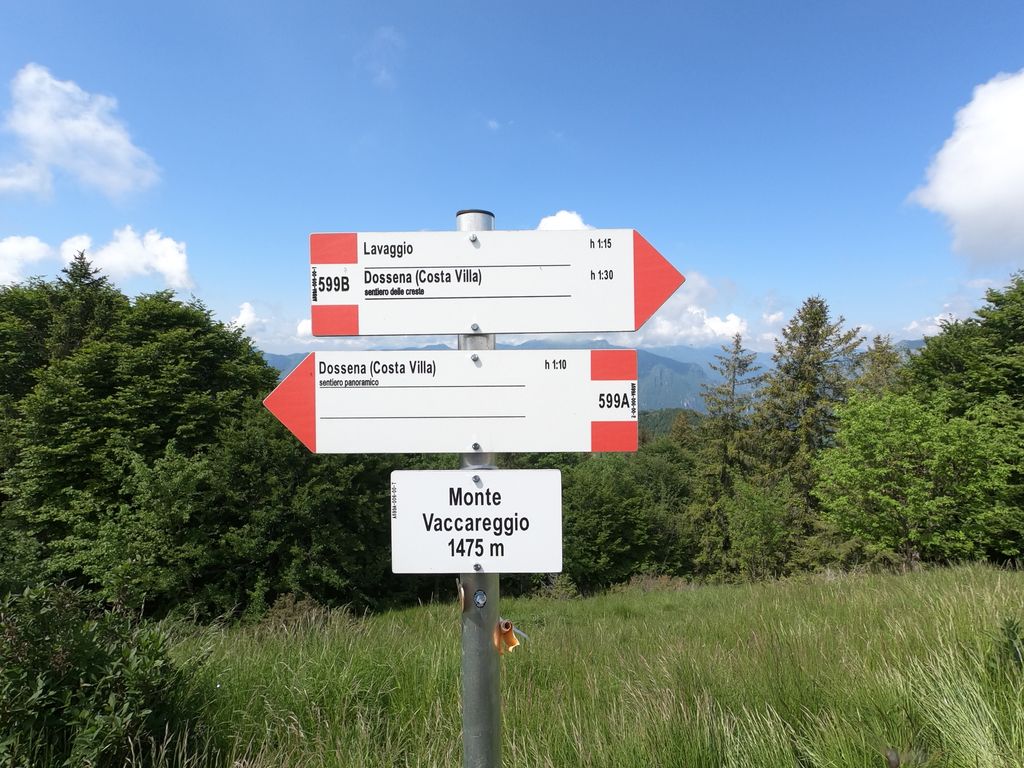 Photo №2 of Monte Vaccareggio