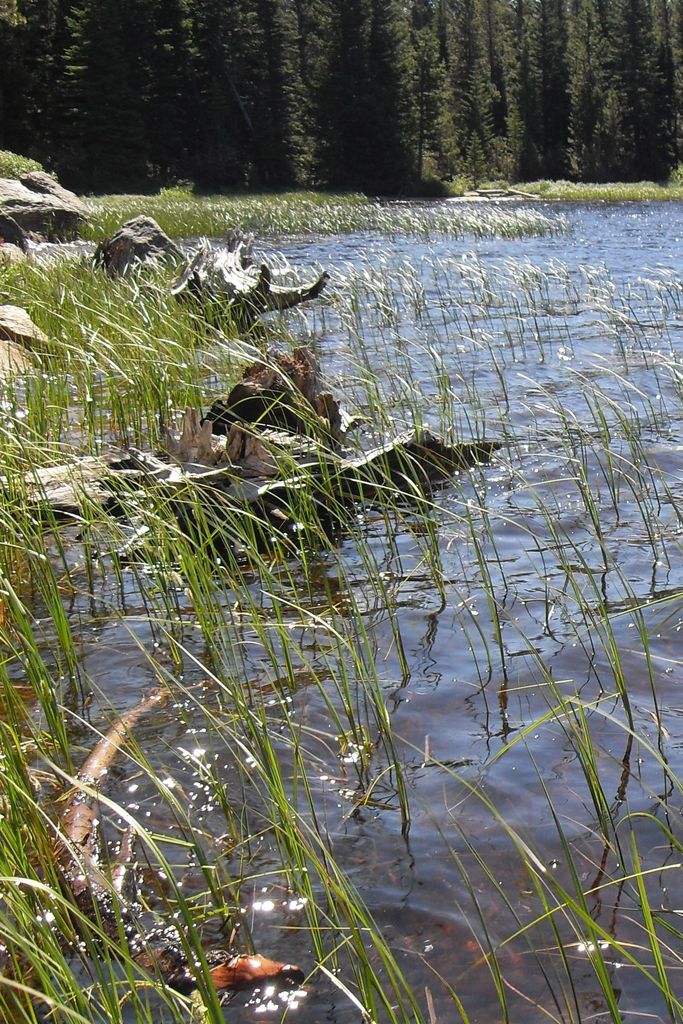 Photo №2 of Bierstadt Lake