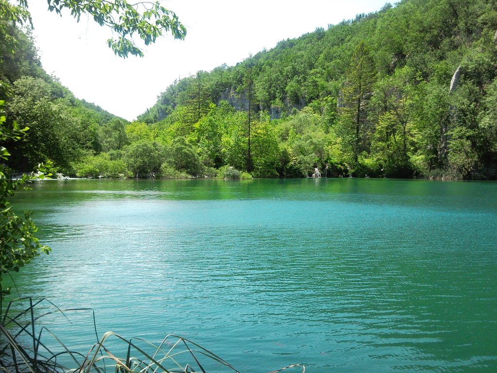 Gavanovac