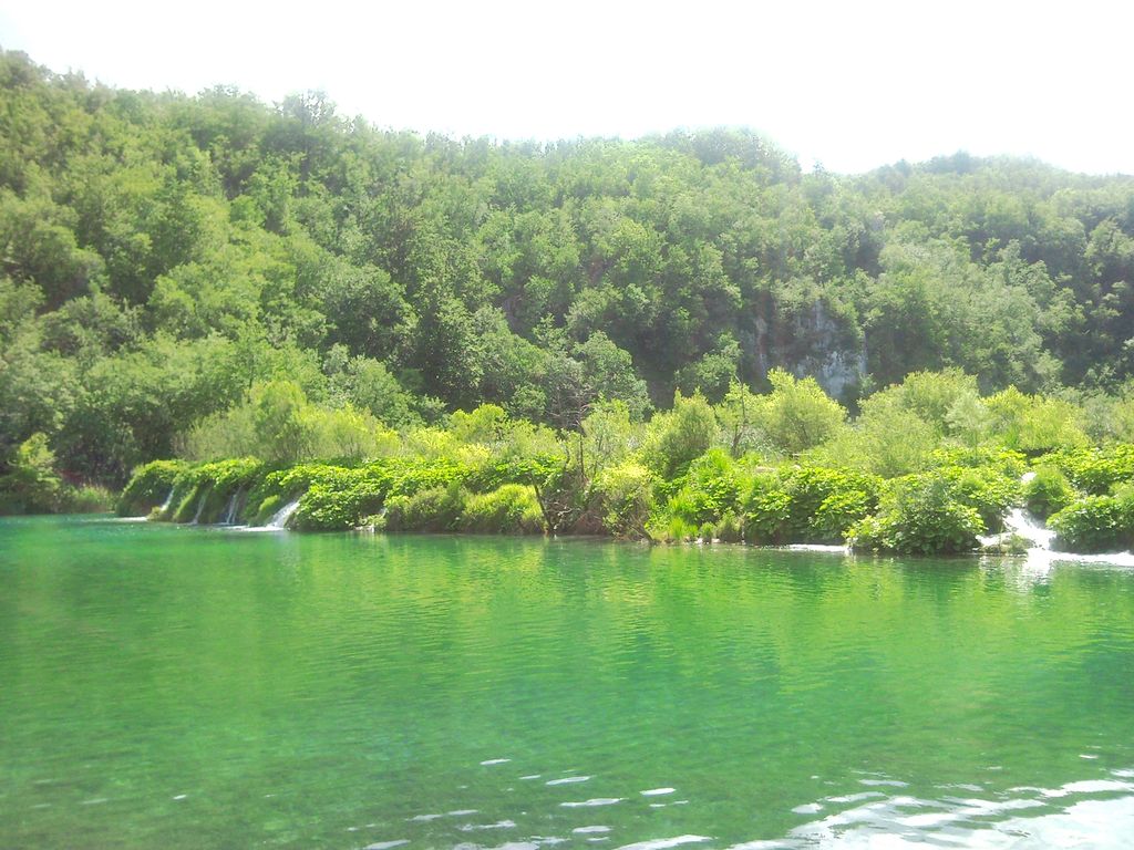 Kaluđerovac
