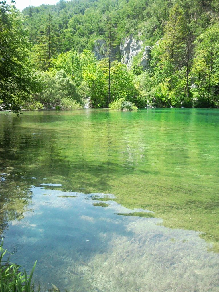 Gavanovac