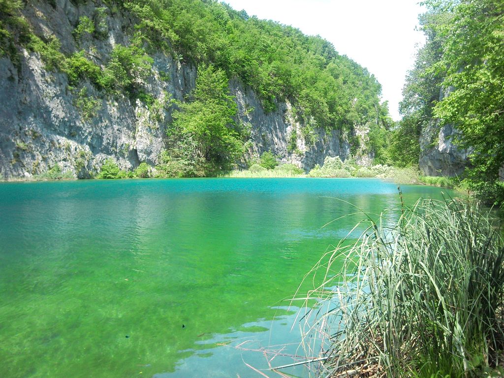 Gavanovac