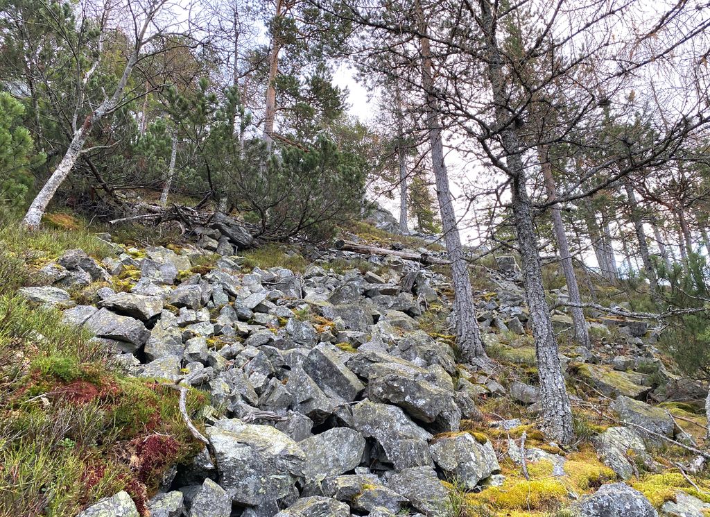 Photo №3 of Voreck