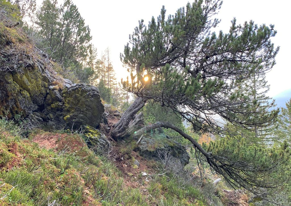 Photo №5 of Voreck