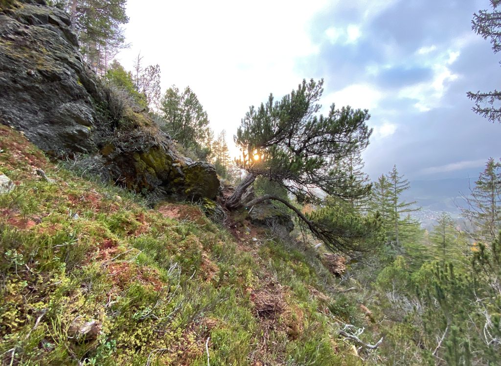 Photo №4 of Voreck
