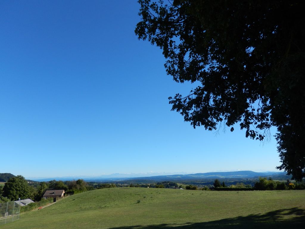 Photo №3 of Galgenbuck