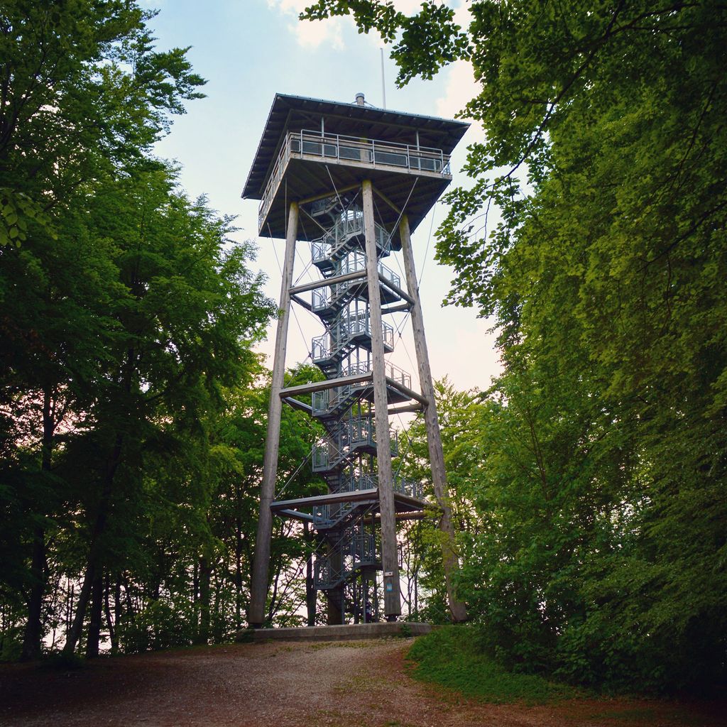 Photo №4 of Langert