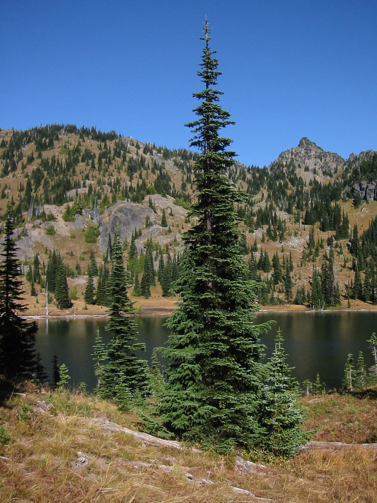 Photo №2 of Upper Crystal Lake