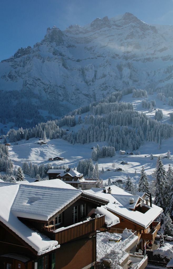 Photo №4 of Adelboden