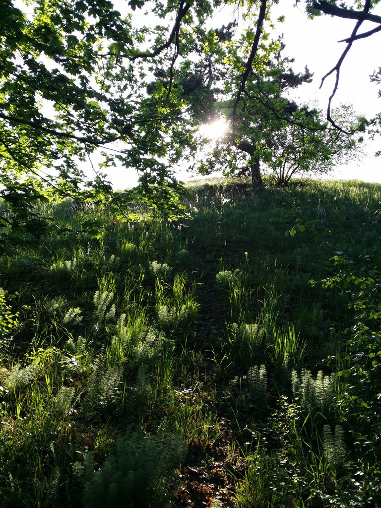 Photo №7 of Šibeniční vrch [Mikulov na Moravě]