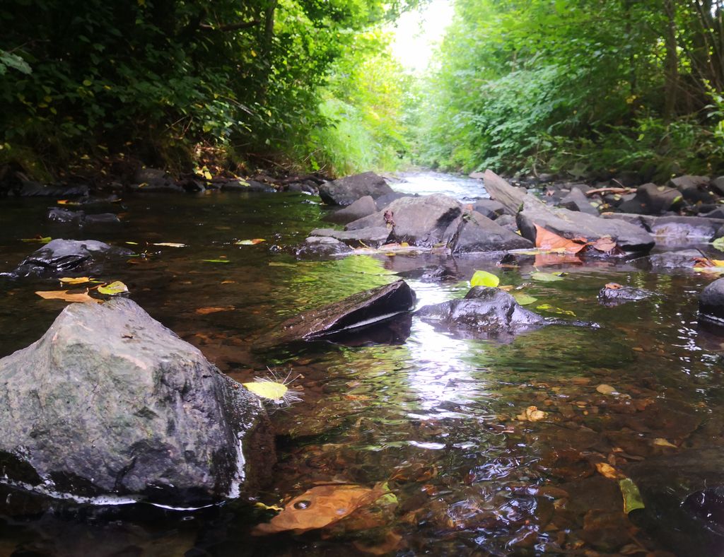 Photo №2 of Buberg