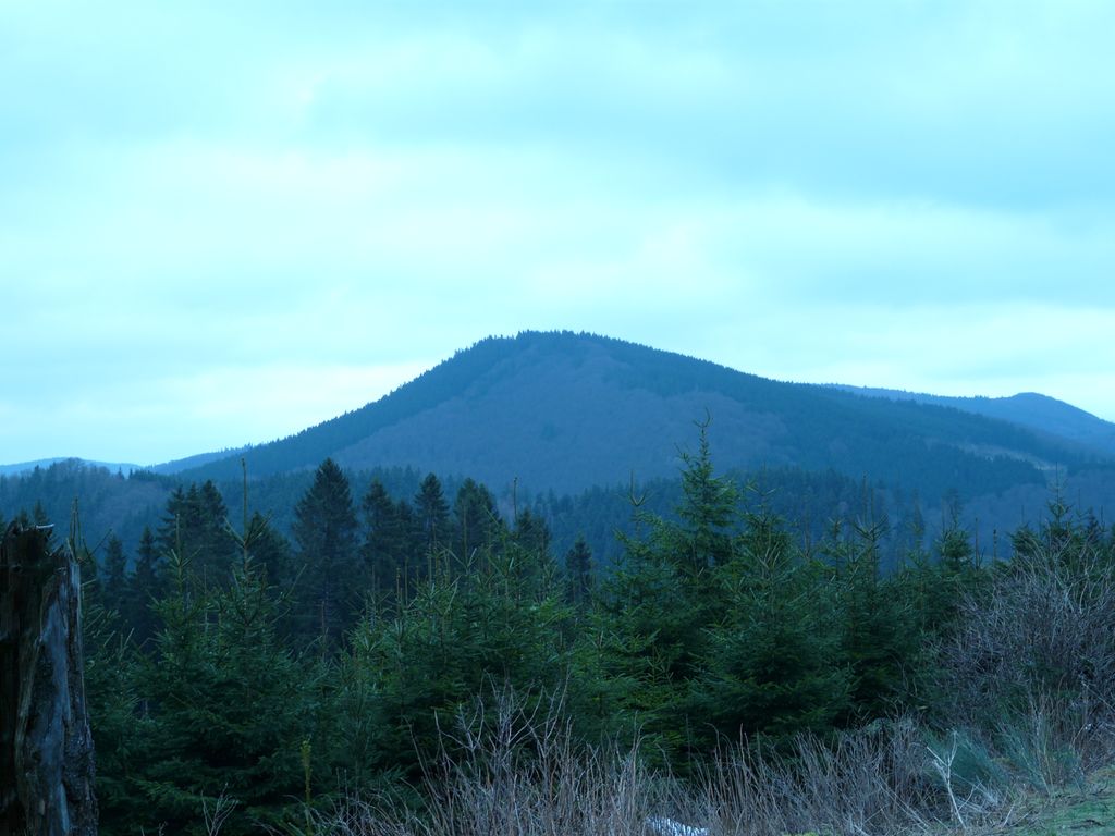 Photo №3 of Alte Grimme