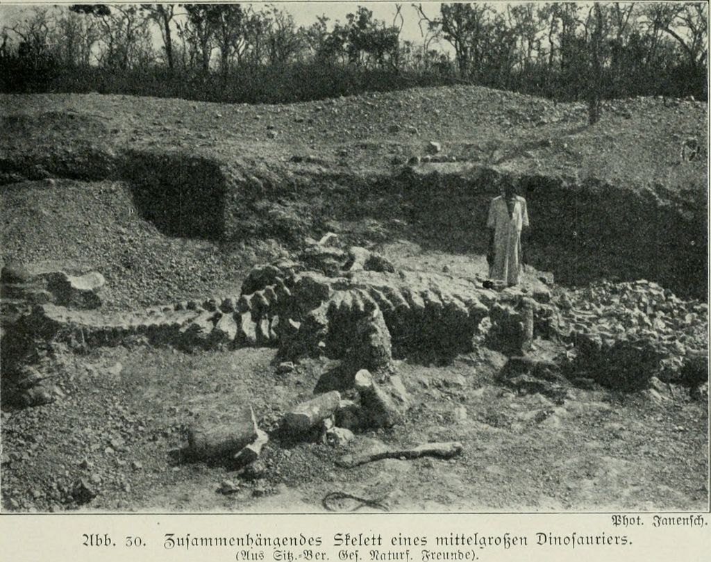 Photo №3 of Tendaguru