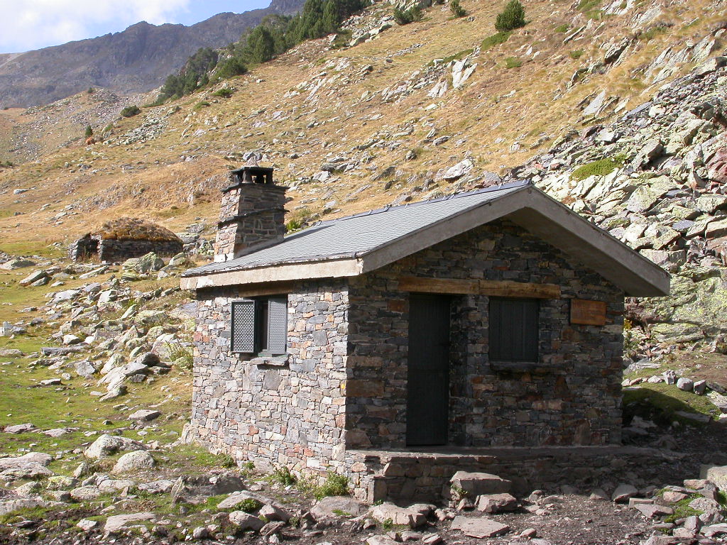 Angonella2