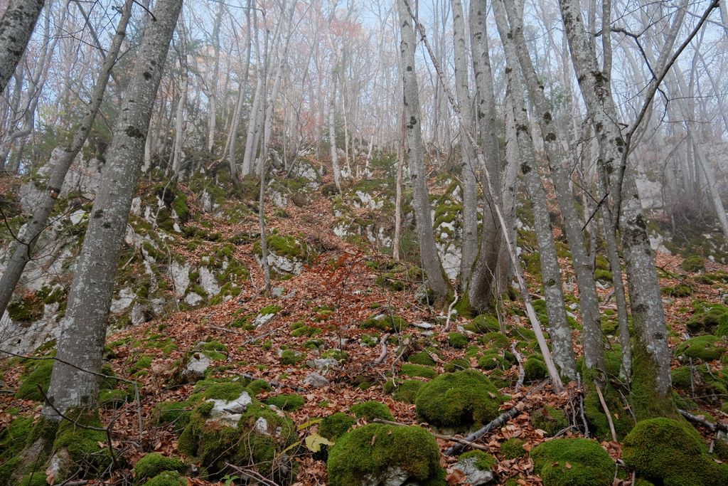 Photo №2 of Mont Rampon