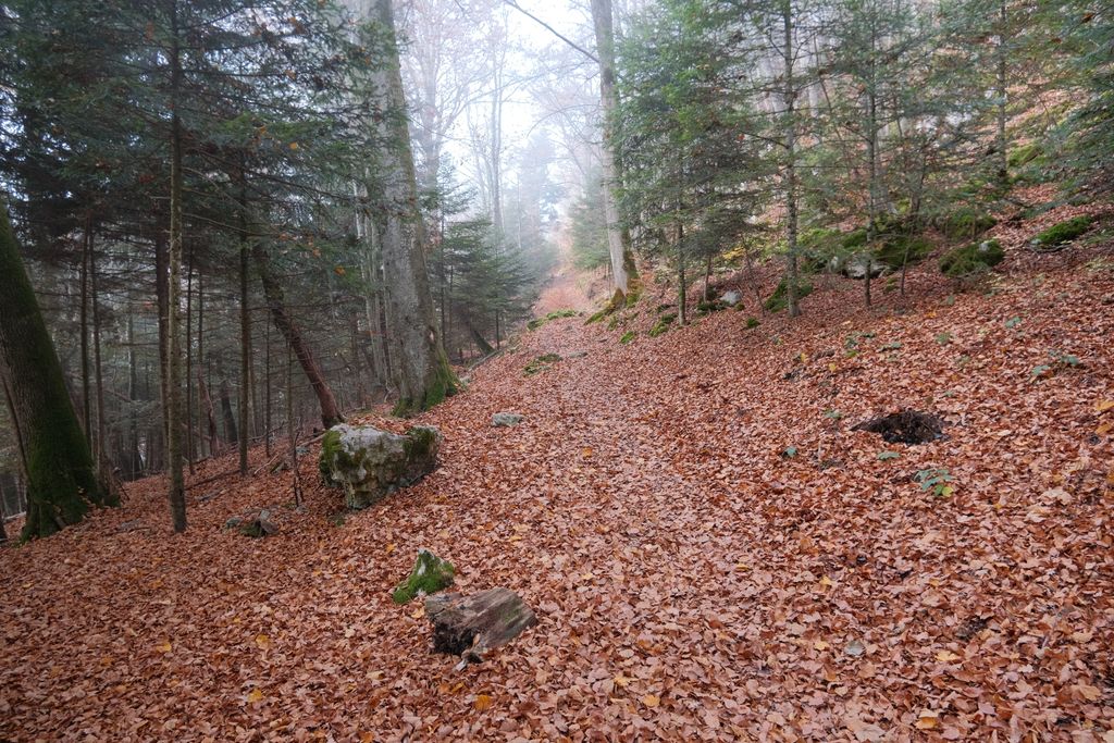 Photo №3 of Mont Rampon