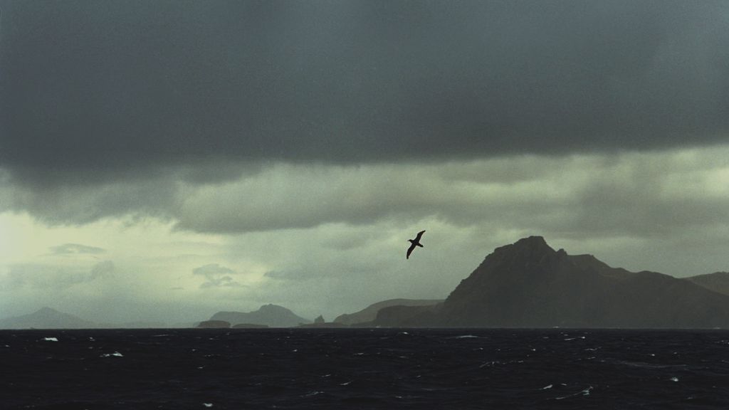 Photo №2 of Isla Hermite