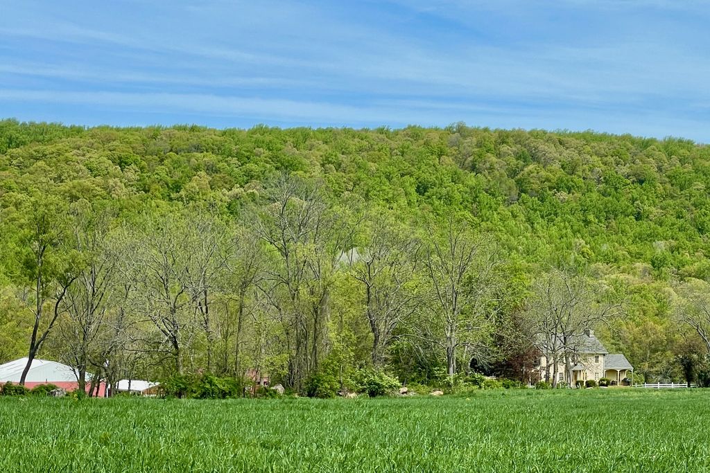 Photo №1 of Schooleys Mountain
