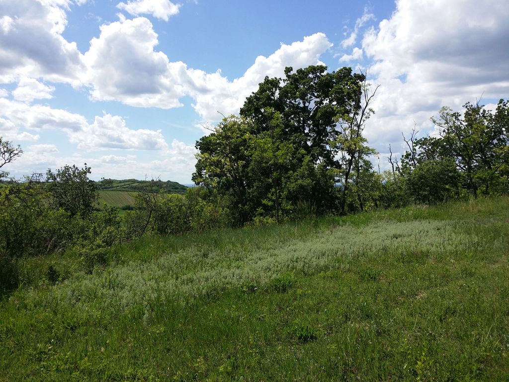Photo №2 of Leopoldsberg