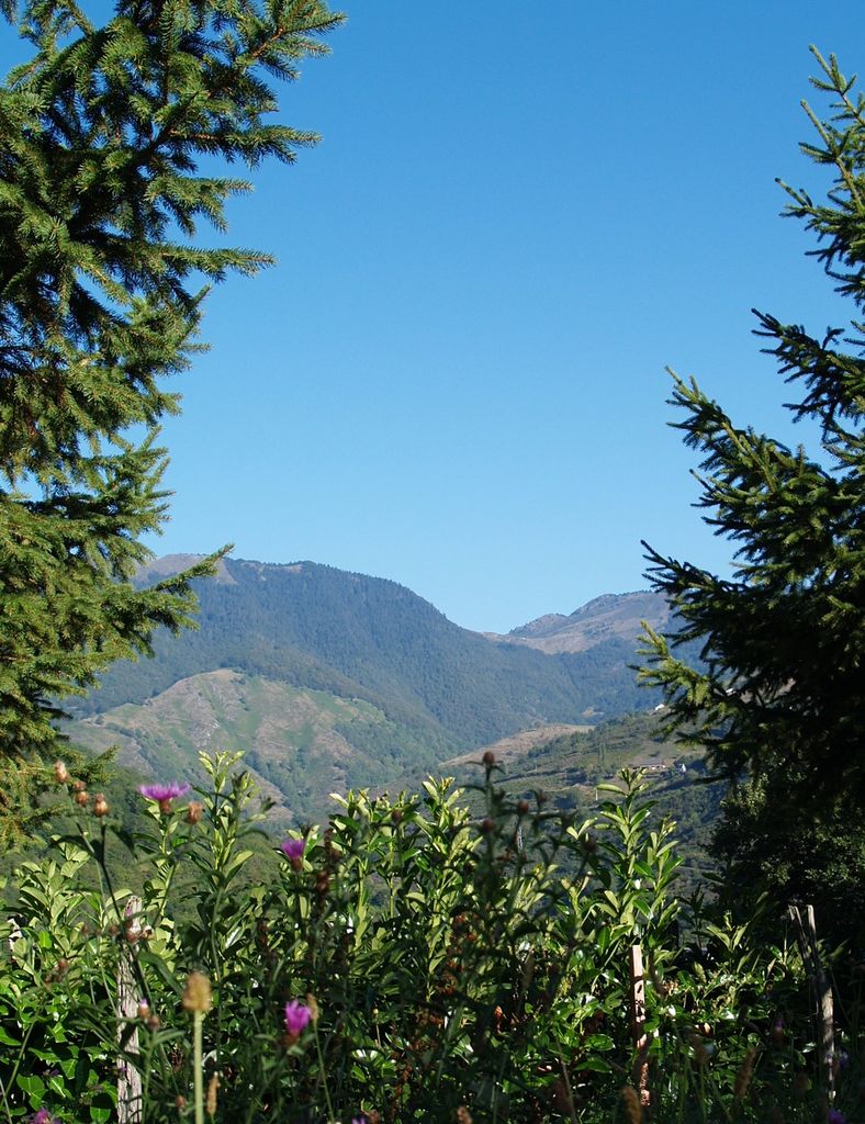 Photo №4 of Col d'Aspin
