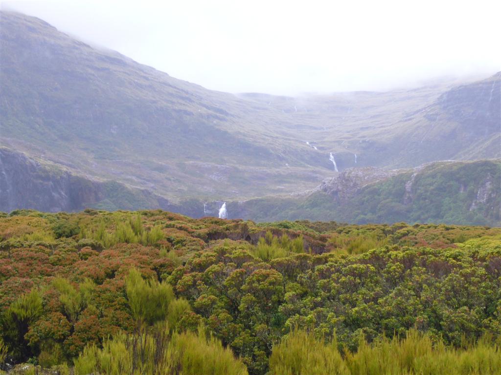 Photo №2 of Auckland Island
