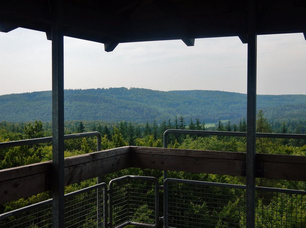 Photo №3 of Langert