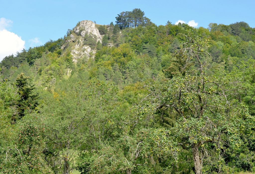 Photo №2 of Böllat
