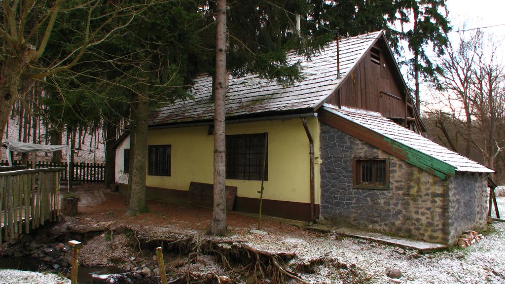 Photo 1