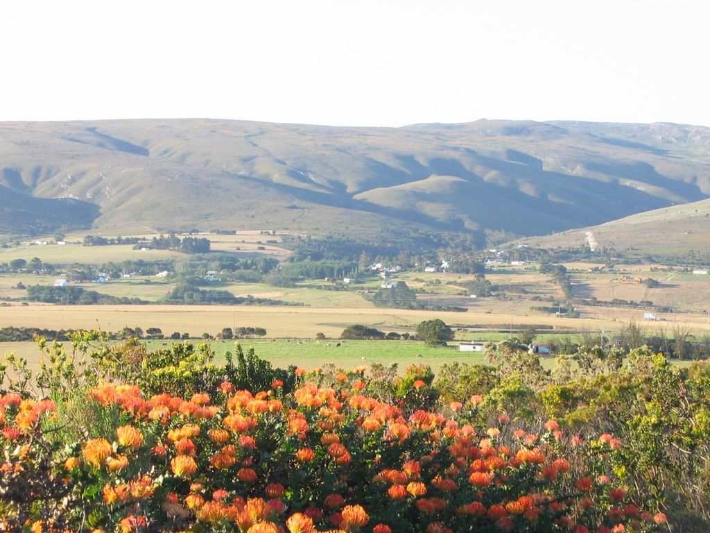 Photo №2 of Baardskeerdersbos