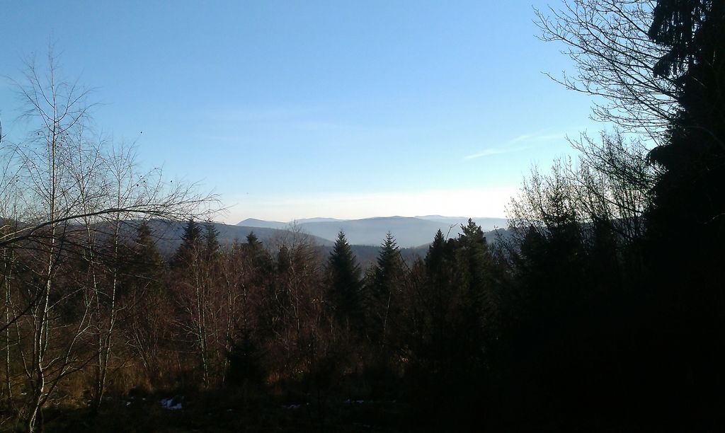 Photo №1 of Babica