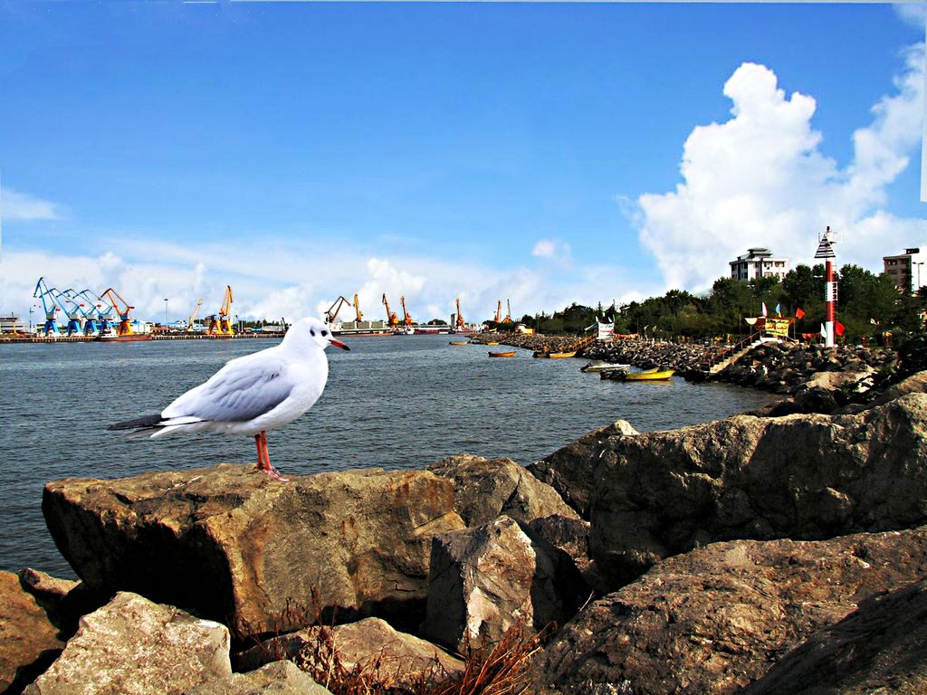 Photo №4 of Bandar-e Anzali