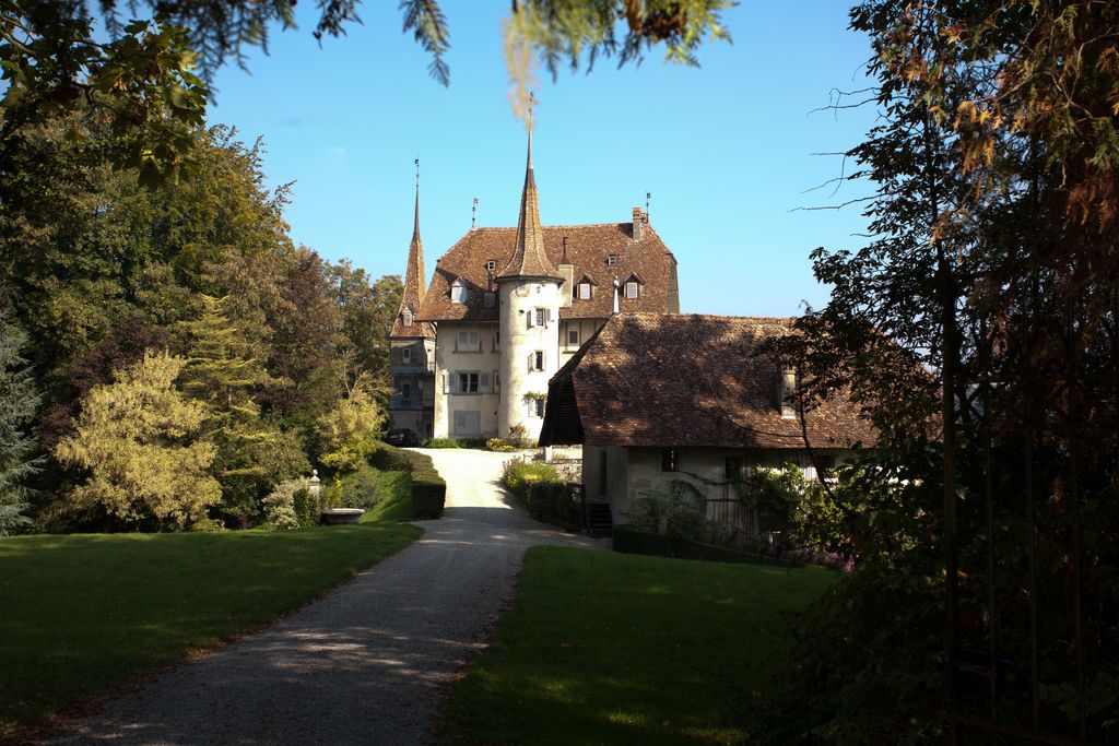 Photo №2 of Grand-Vivy Castle