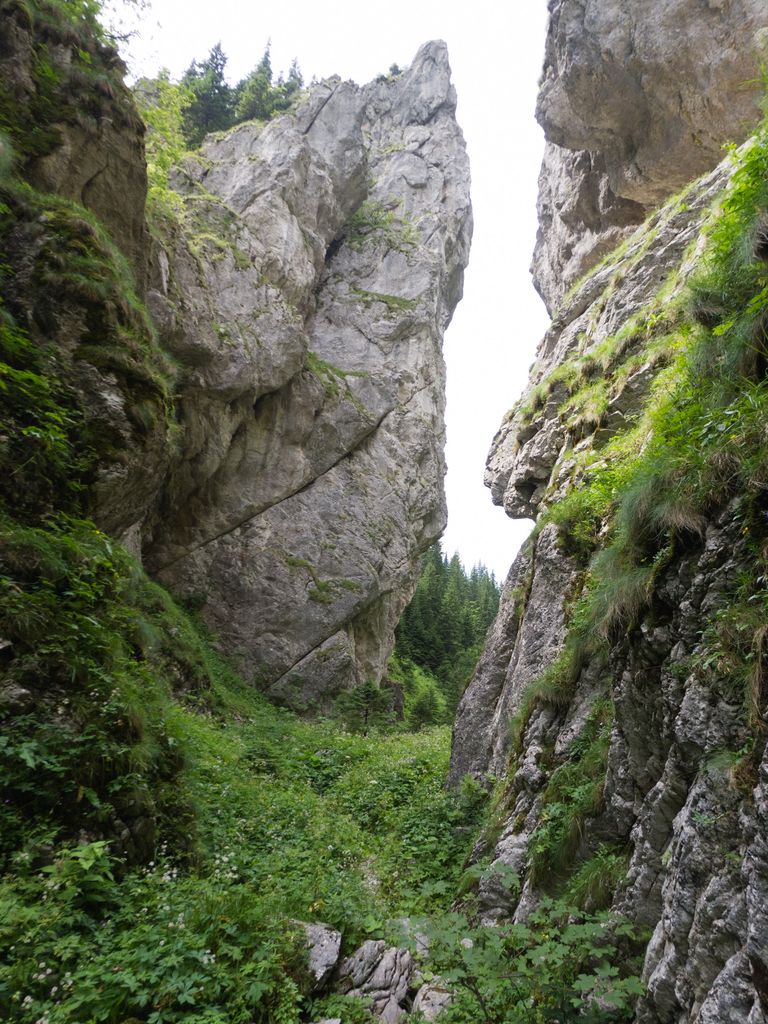 Photo №2 of Baszta