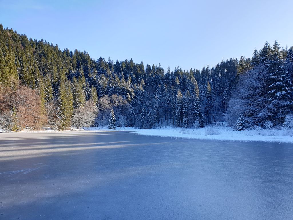Photo №5 of Suttensee