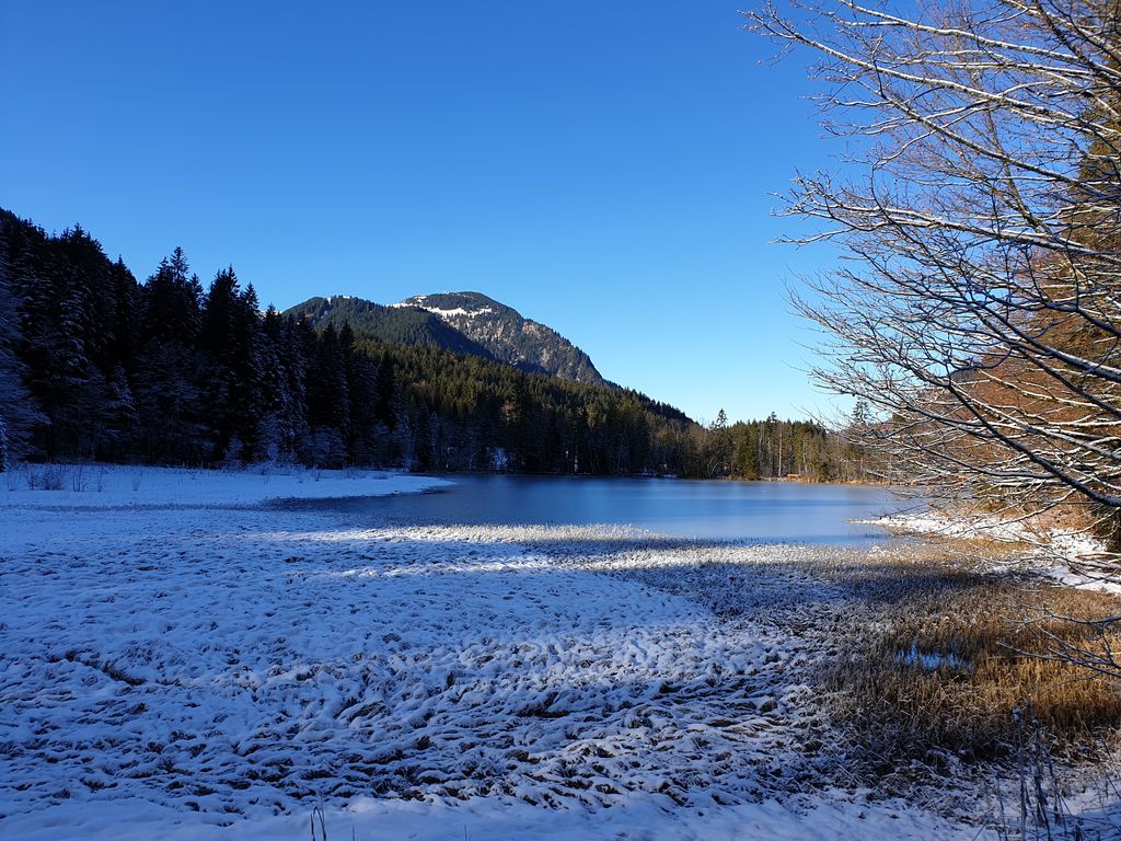 Photo №4 of Suttensee