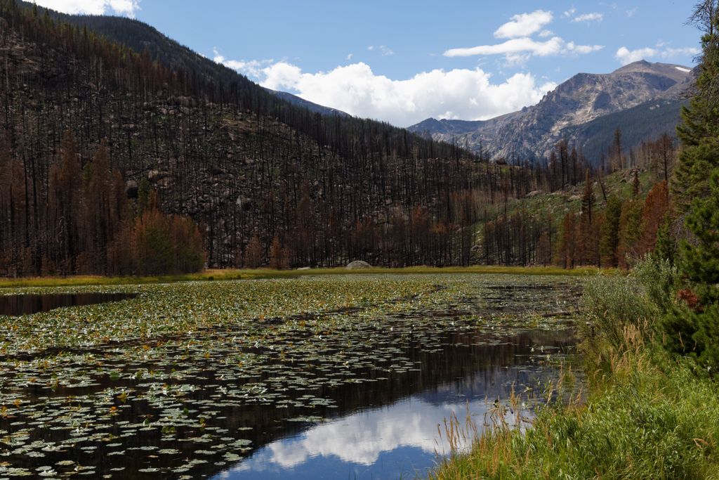 Photo №5 of Cub Lake