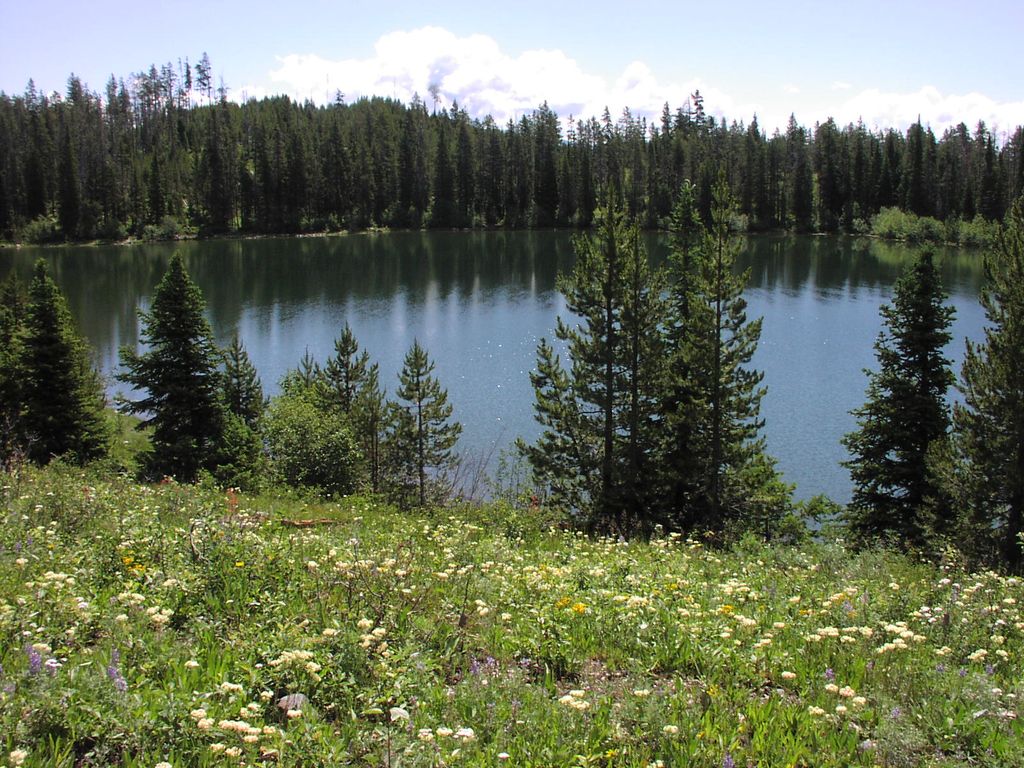 Photo №2 of Bearpaw Lake