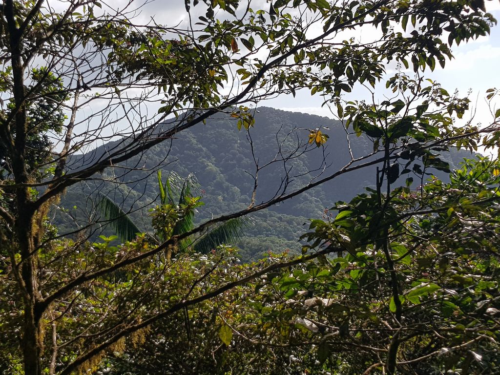 Photo №1 of Belle Hôtesse