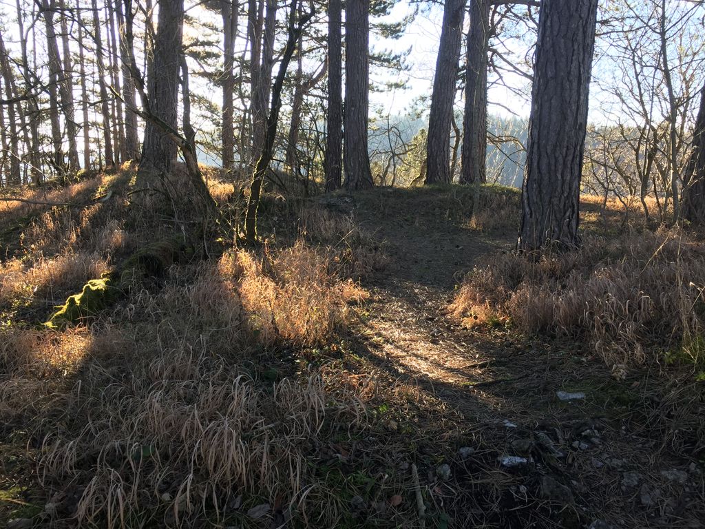 Photo №2 of Wenzelstein