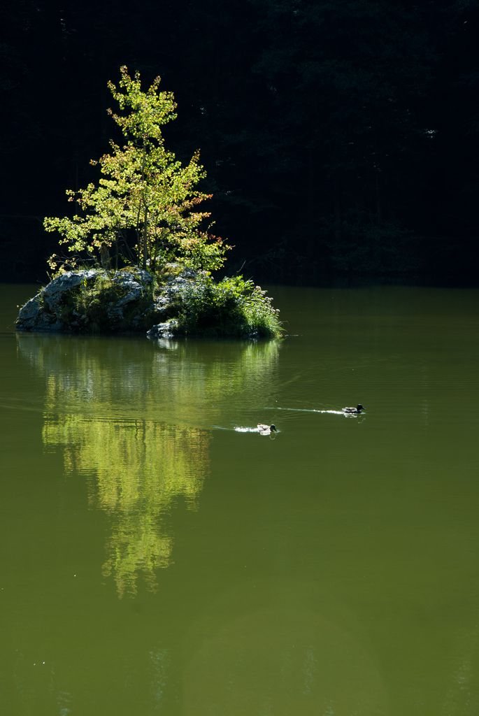 Photo №4 of Berglsteiner See