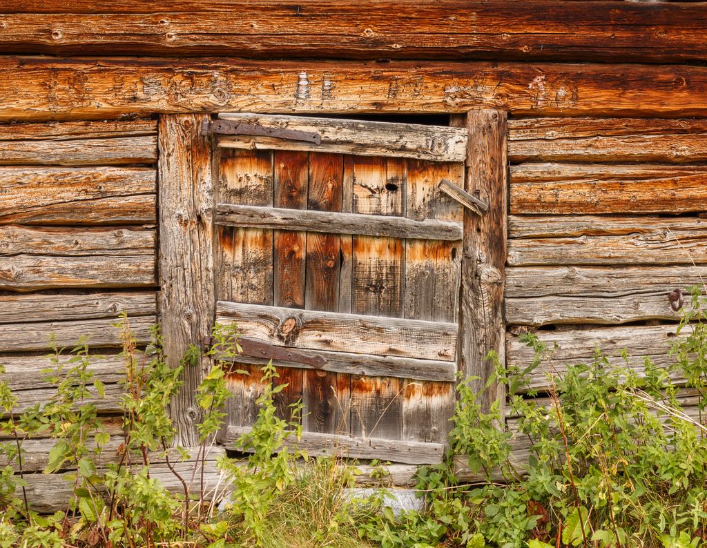 Bergtocht_van_Tschiertschen_(1350_meter)_via_Runcaspinas_naar_Alp_Farur_(1940_meter)_017