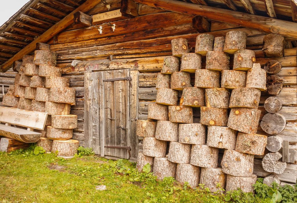 Bergtocht_van_Tschiertschen_(1350_meter)_via_Runcaspinas_naar_Alp_Farur_(1940_meter)_020