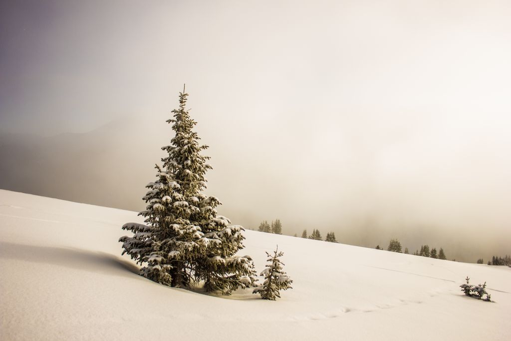 Photo №2 of Berthoud Pass