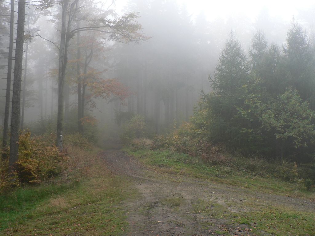 Photo №2 of Przełęcz Kozia (Sipa)