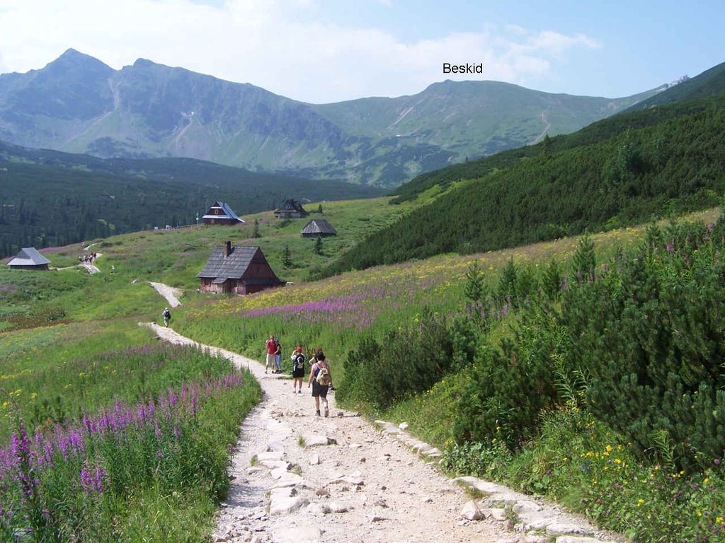 Photo №3 of Beskid / Beskyd